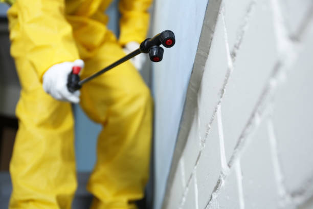 Best Pest Control for Multi-Family Homes  in Quail Creek, TX